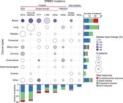 Fig 2. Integrated efficacy by tumour type and HER2 allele/domain.